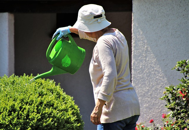 older lady in a sun hat watering plants
