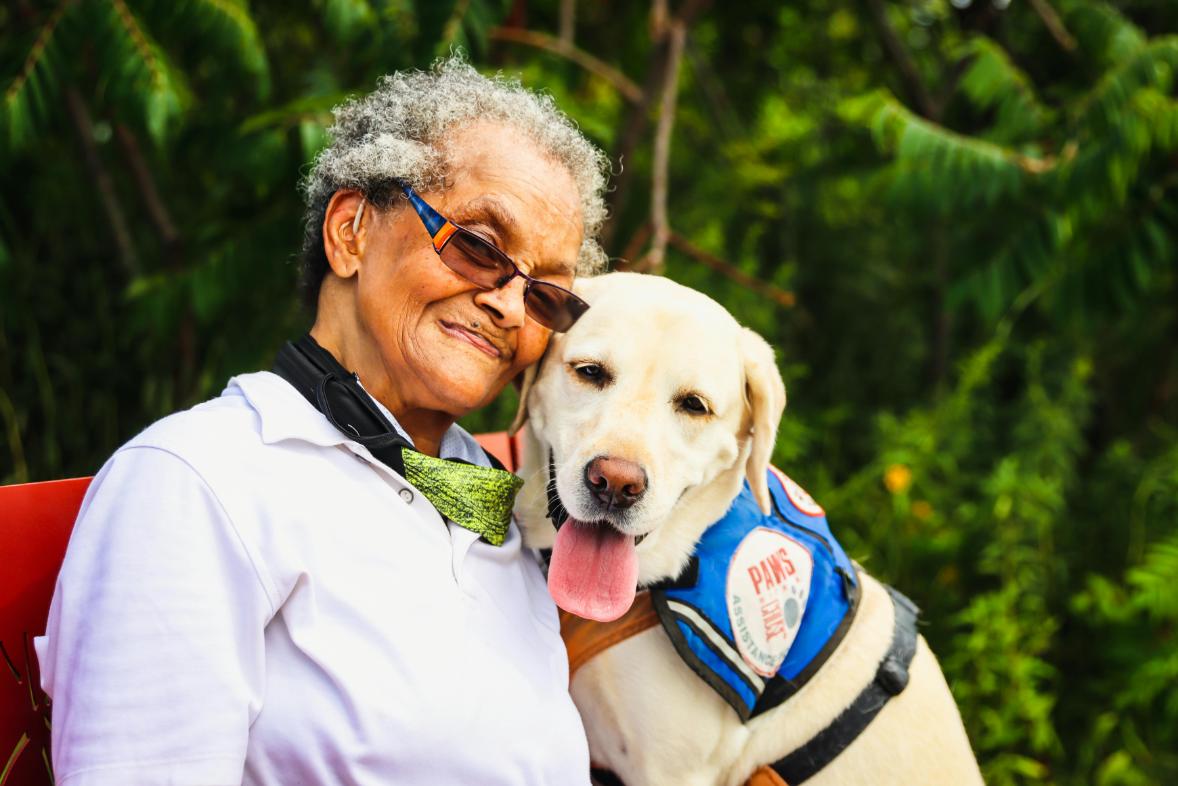 pet therapy