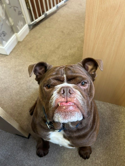 Charlie at Benarty View Care Home